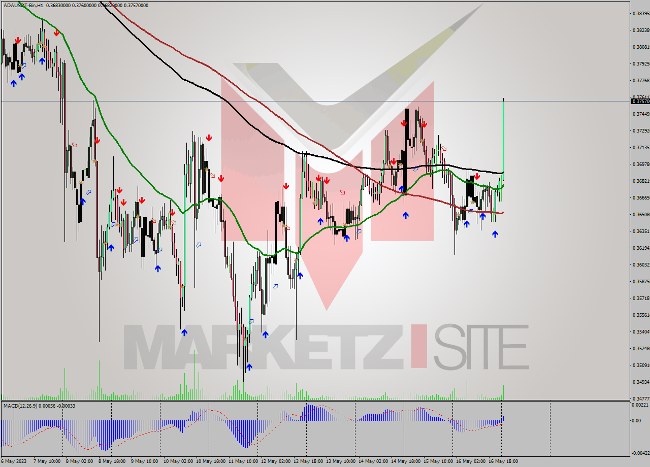 ADAUSDT-Bin H1 Signal