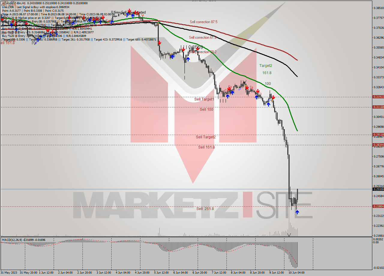 ADAUSDT-Bin H1 Signal