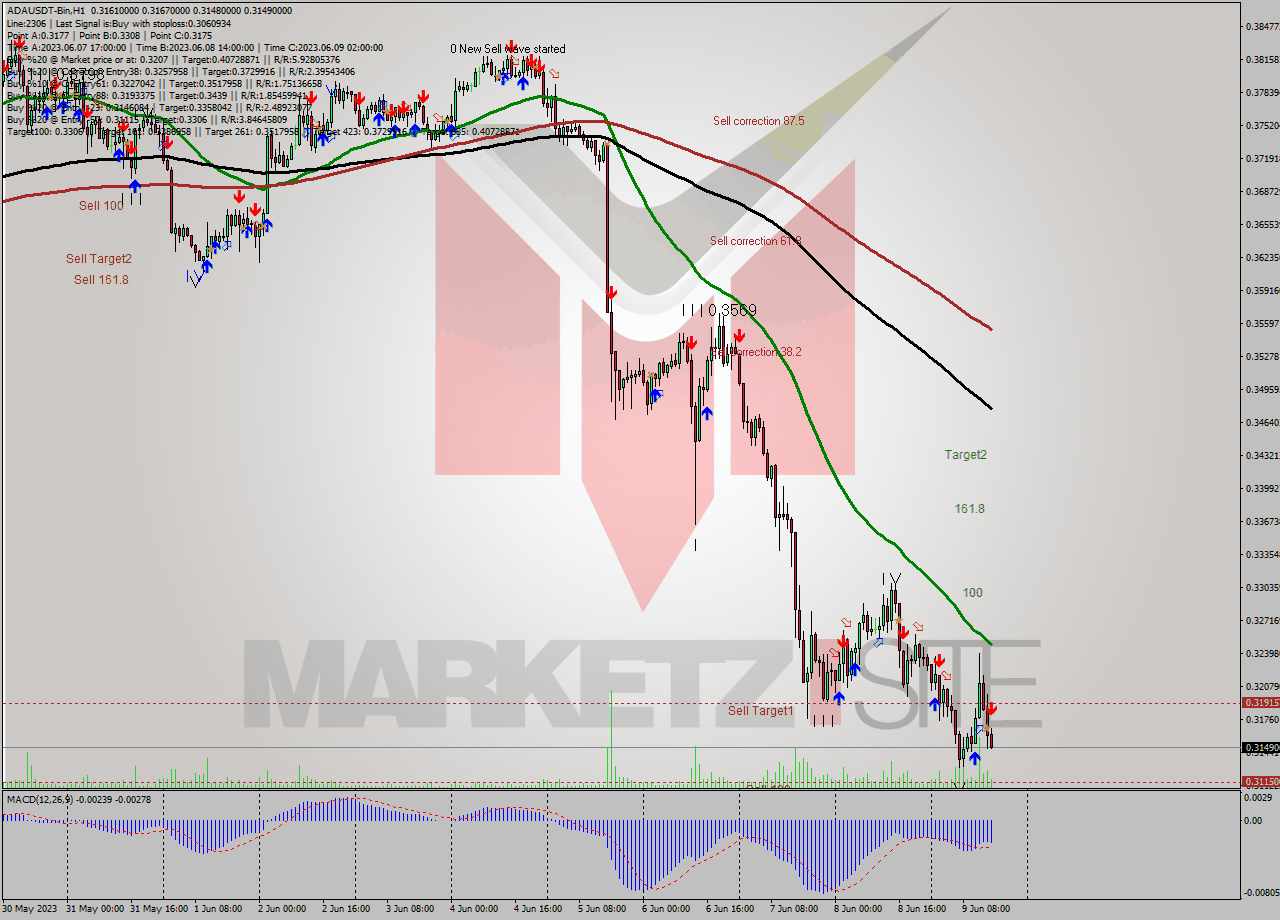 ADAUSDT-Bin H1 Signal