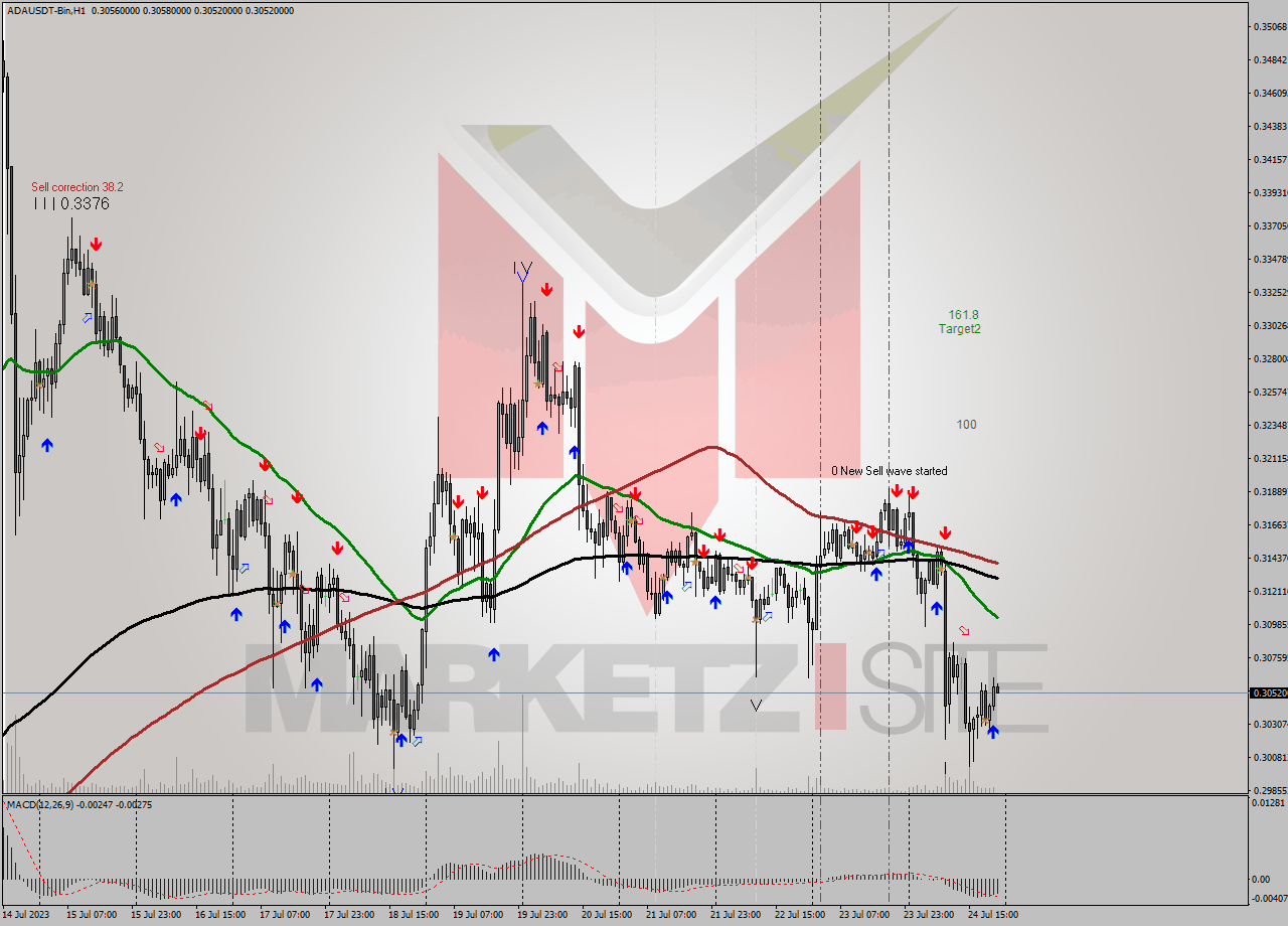 ADAUSDT-Bin H1 Signal