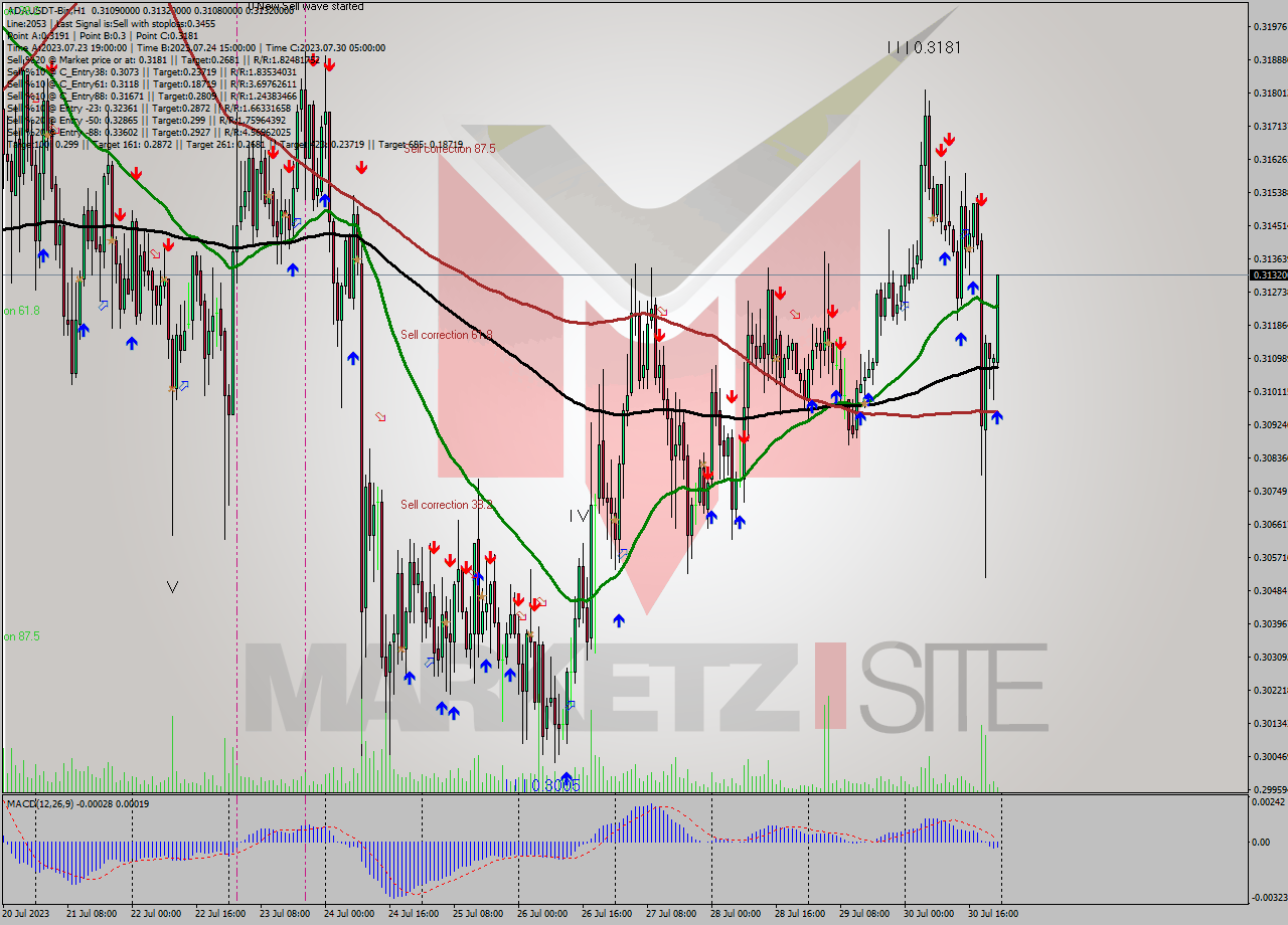 ADAUSDT-Bin H1 Analysis ADAUSDT-Bin H1 Signal