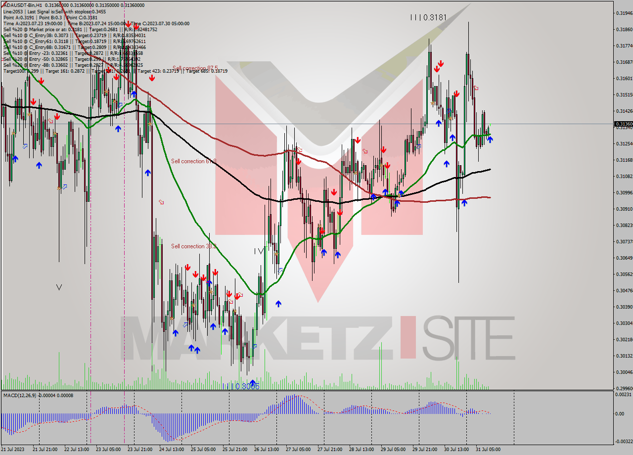 ADAUSDT-Bin H1 Signal