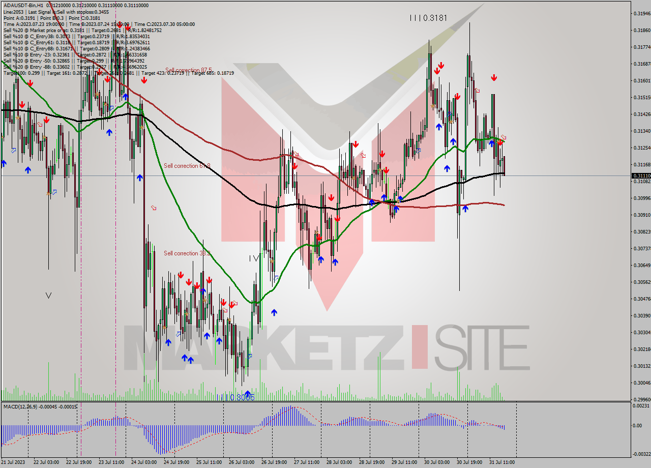 ADAUSDT-Bin H1 Signal