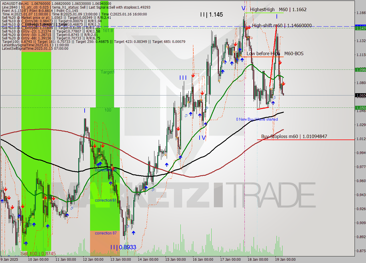 ADAUSDT-Bin MultiTimeframe analysis at date 2025.01.19 09:00
