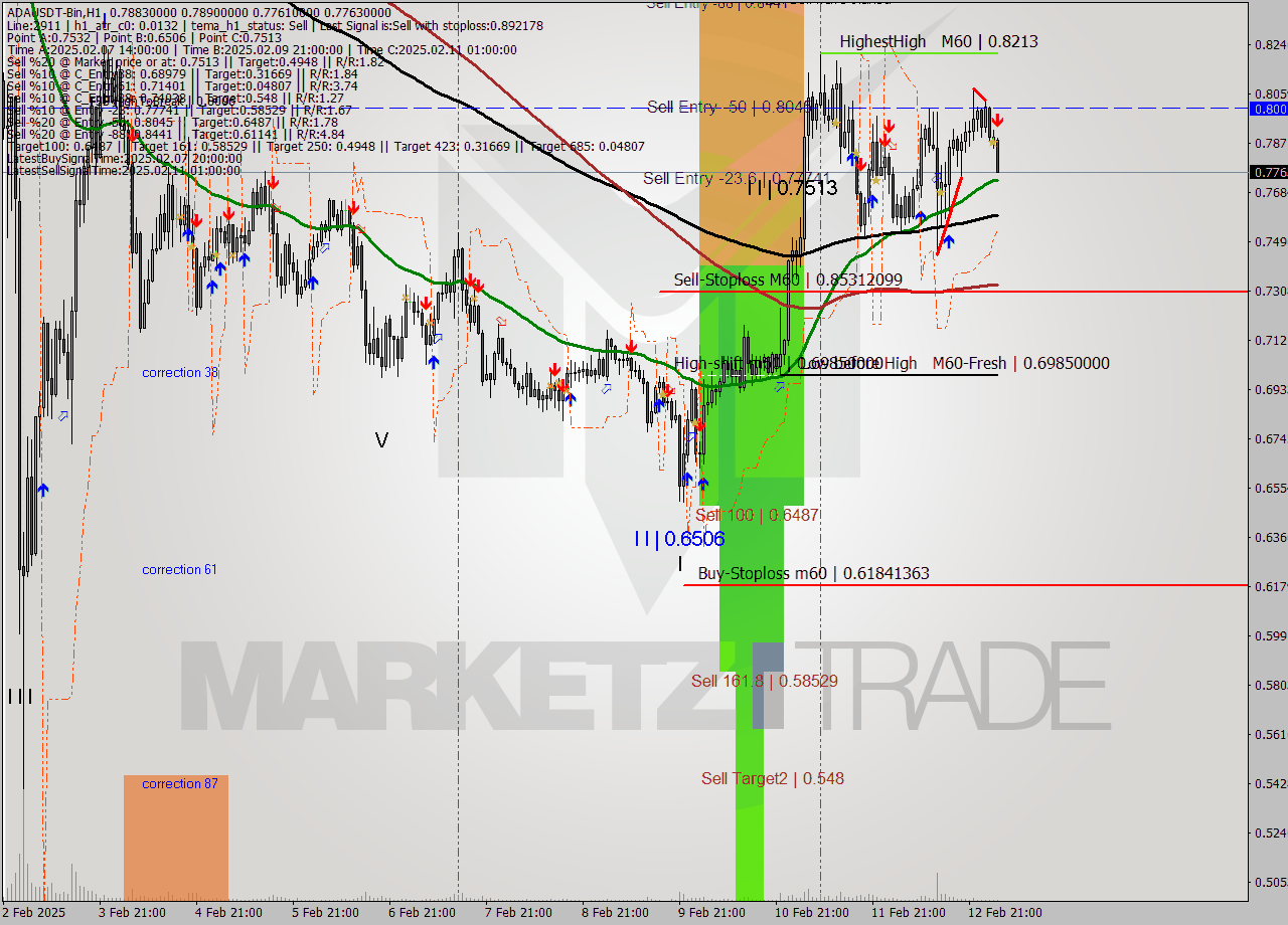 ADAUSDT-Bin MultiTimeframe analysis at date 2025.02.13 06:55