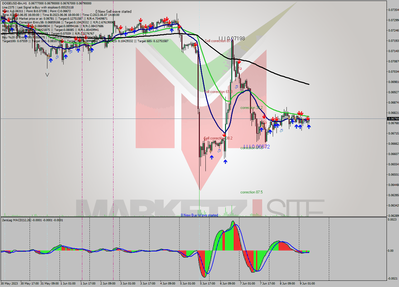 DOGEUSD-Bin H1 Signal