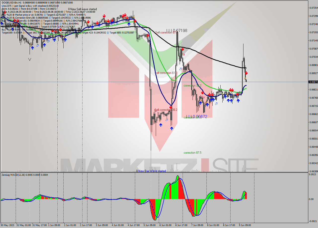 DOGEUSD-Bin H1 Analysis DOGEUSD-Bin H1 Signal
