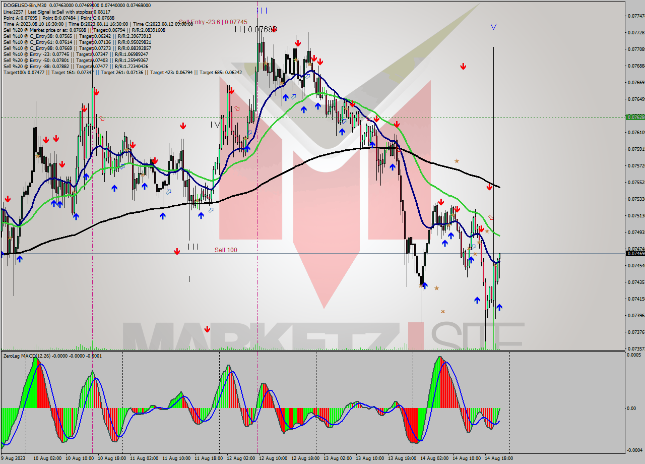 DOGEUSD-Bin M30 Signal