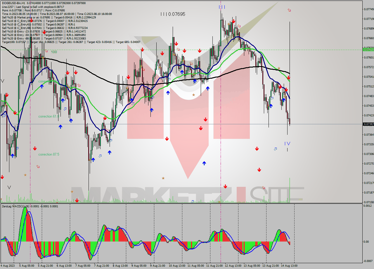 DOGEUSD-Bin H1 Analysis DOGEUSD-Bin H1 Signal