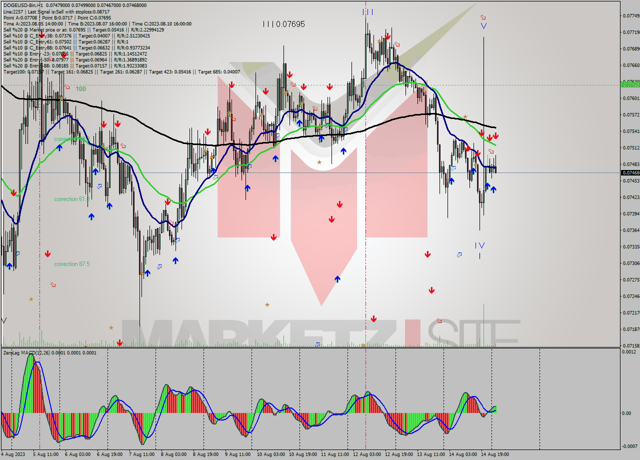 DOGEUSD-Bin H1 Analysis DOGEUSD-Bin H1 Signal