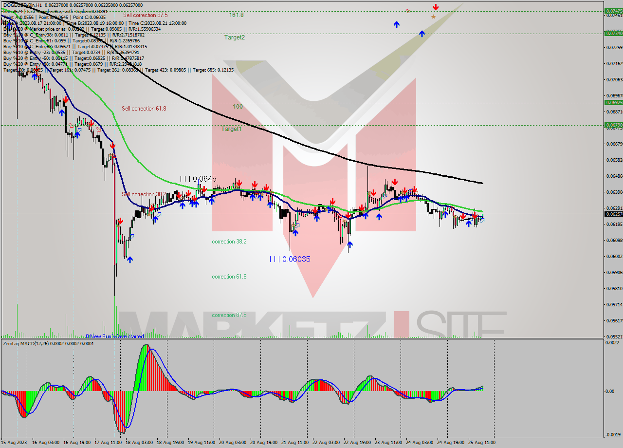 DOGEUSD-Bin H1 Analysis DOGEUSD-Bin H1 Signal