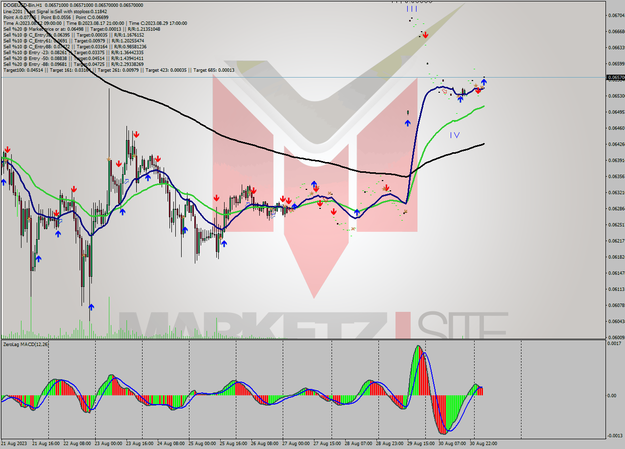 DOGEUSD-Bin H1 Analysis DOGEUSD-Bin H1 Signal