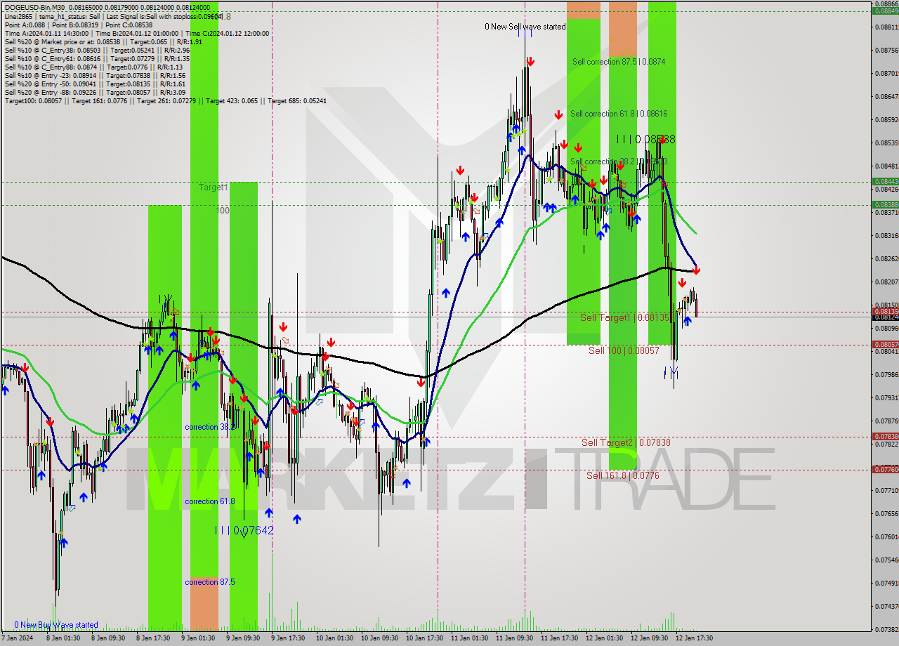 DOGEUSD-Bin M30 Signal