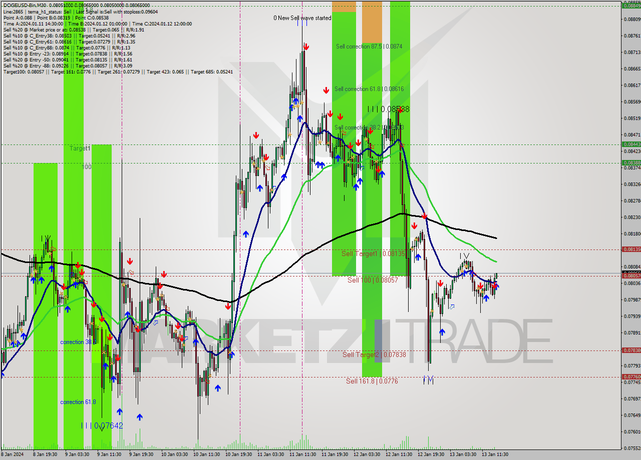DOGEUSD-Bin M30 Signal