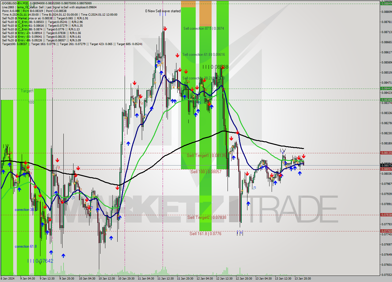 DOGEUSD-Bin M30 Signal