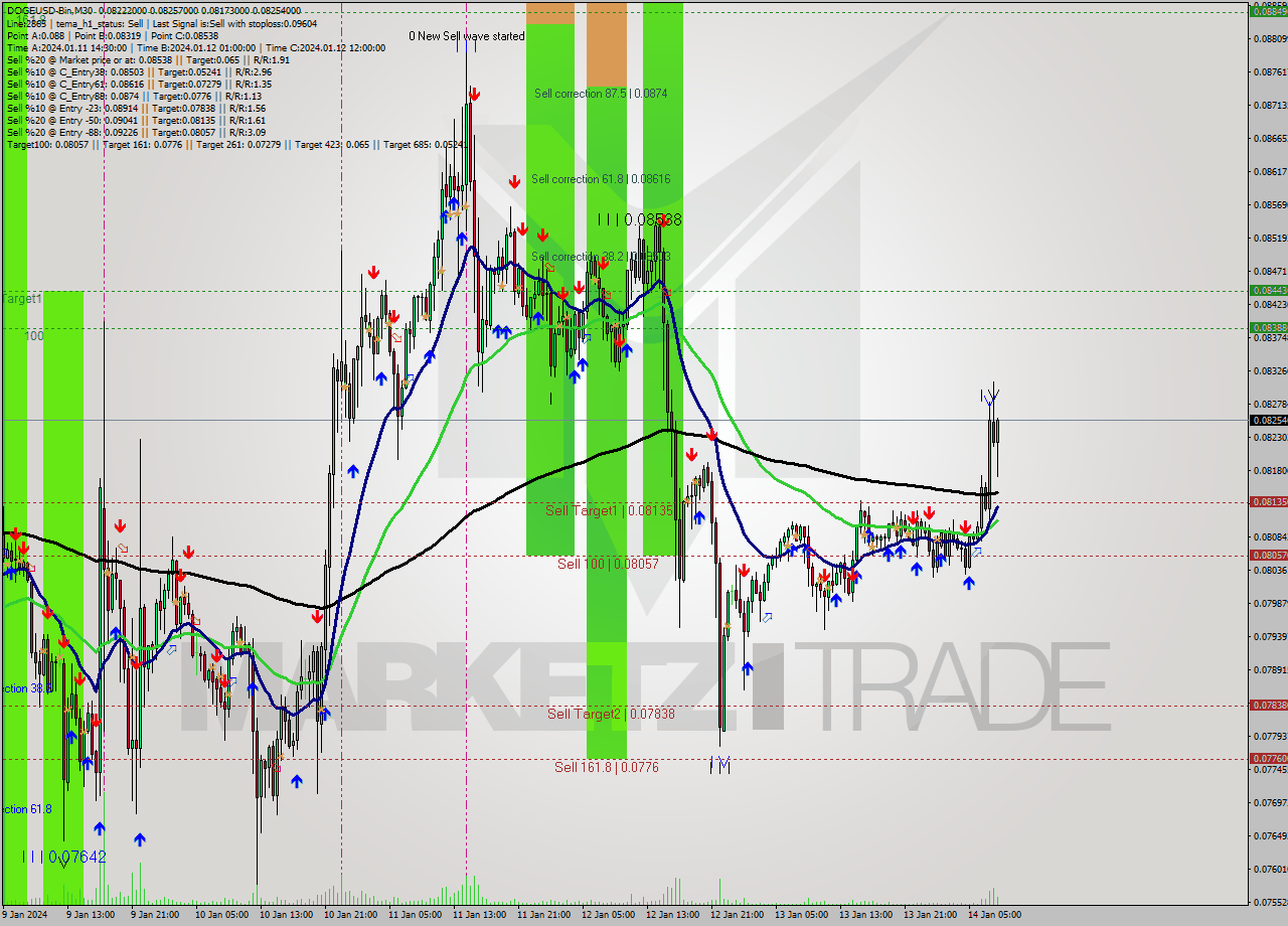 DOGEUSD-Bin M30 Signal