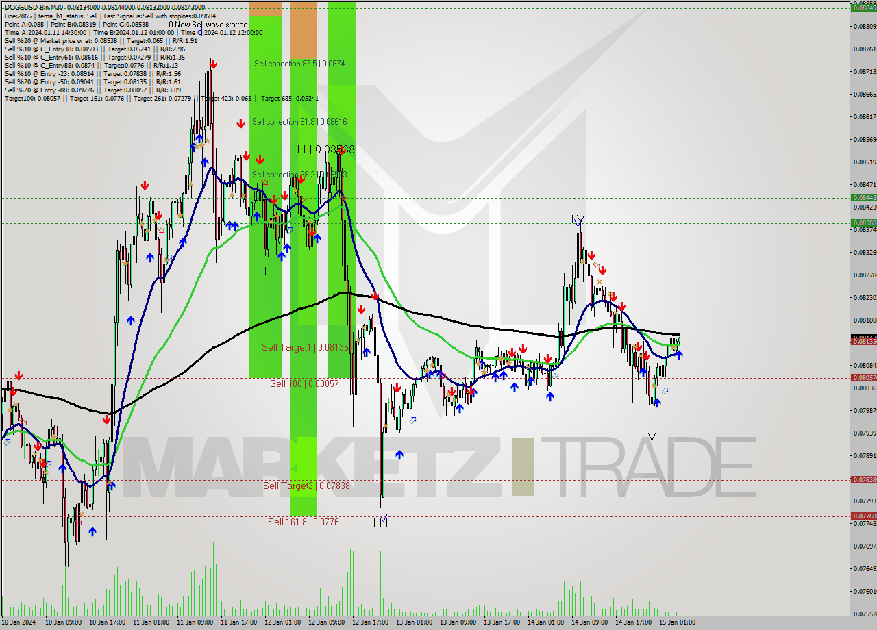 DOGEUSD-Bin M30 Signal