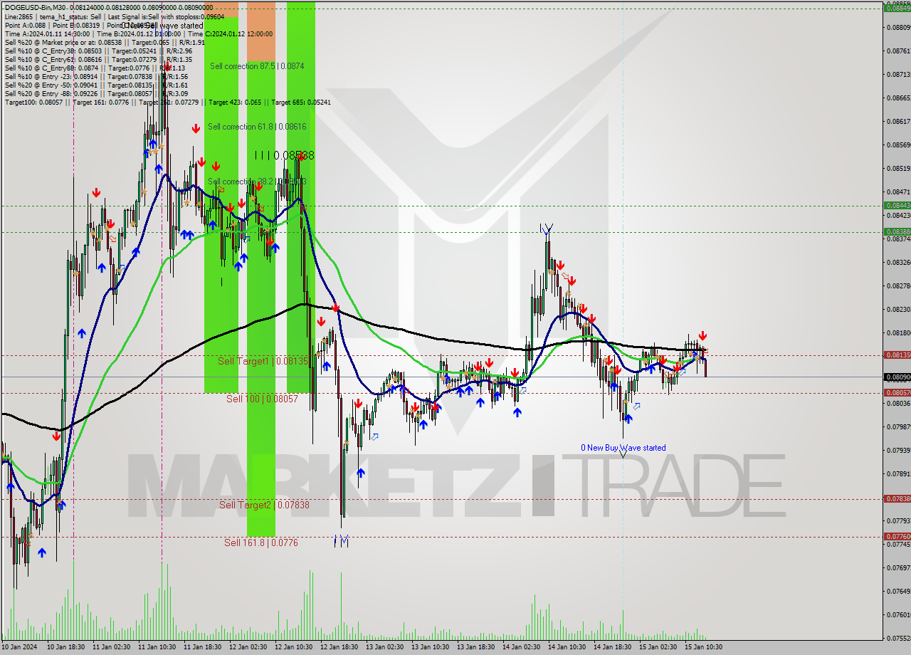 DOGEUSD-Bin M30 Signal