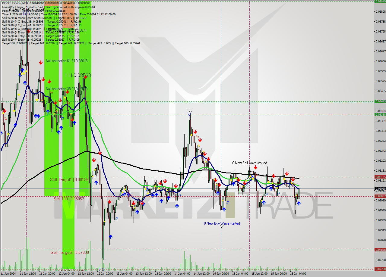 DOGEUSD-Bin M30 Signal