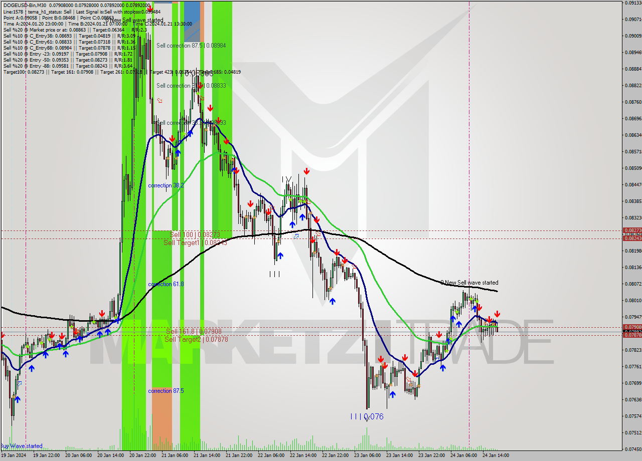 DOGEUSD-Bin M30 Signal