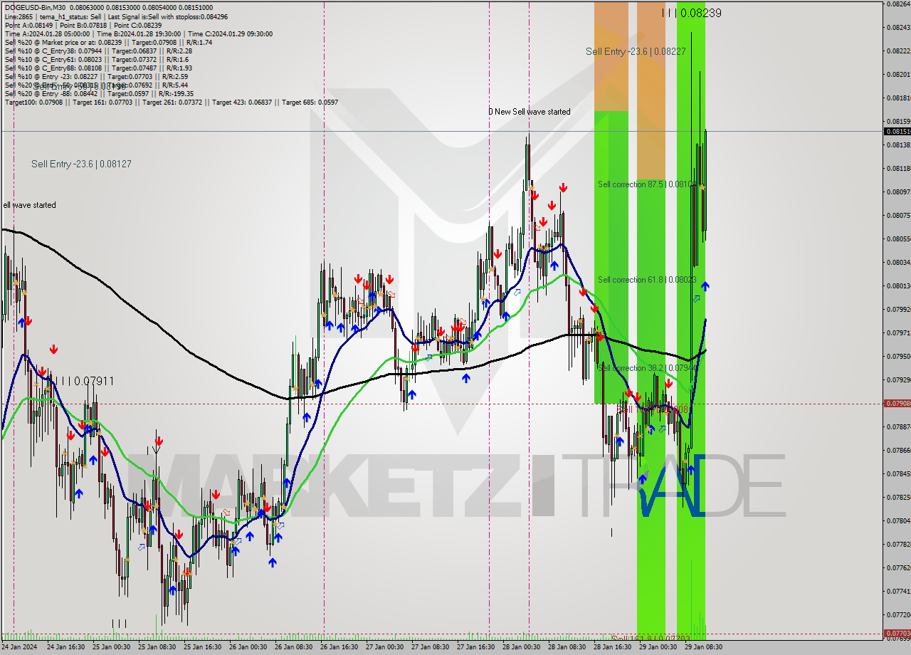 DOGEUSD-Bin M30 Signal