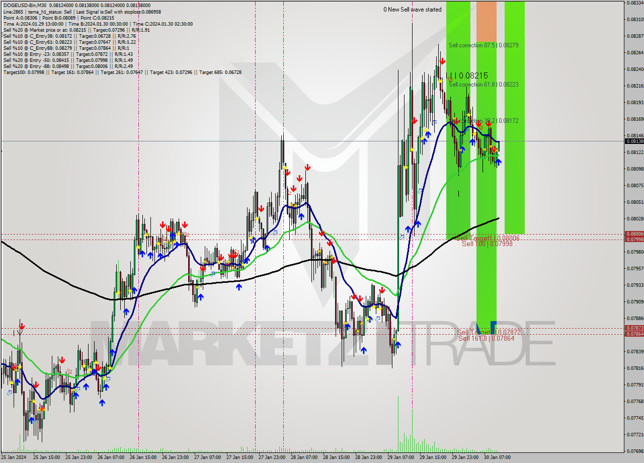 DOGEUSD-Bin M30 Signal