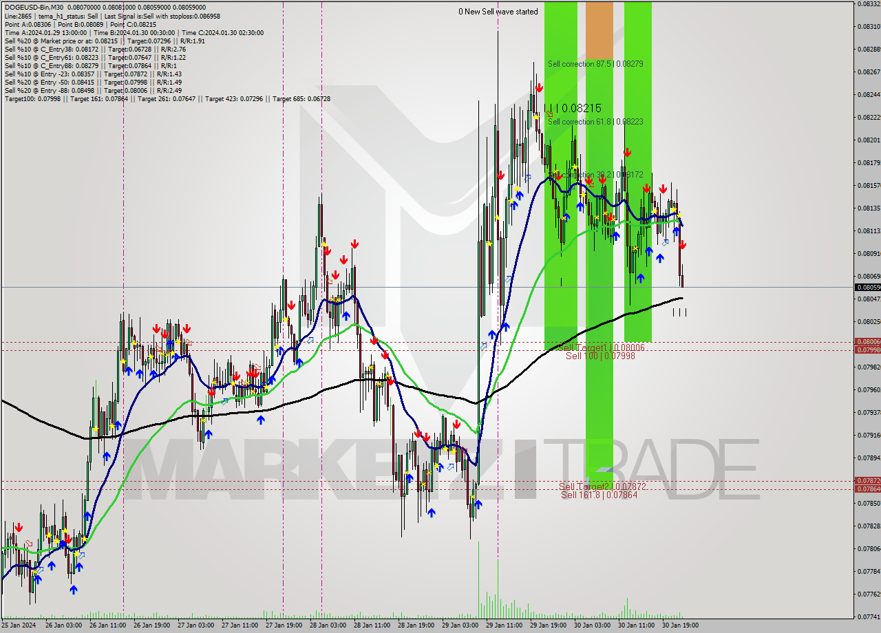 DOGEUSD-Bin M30 Signal