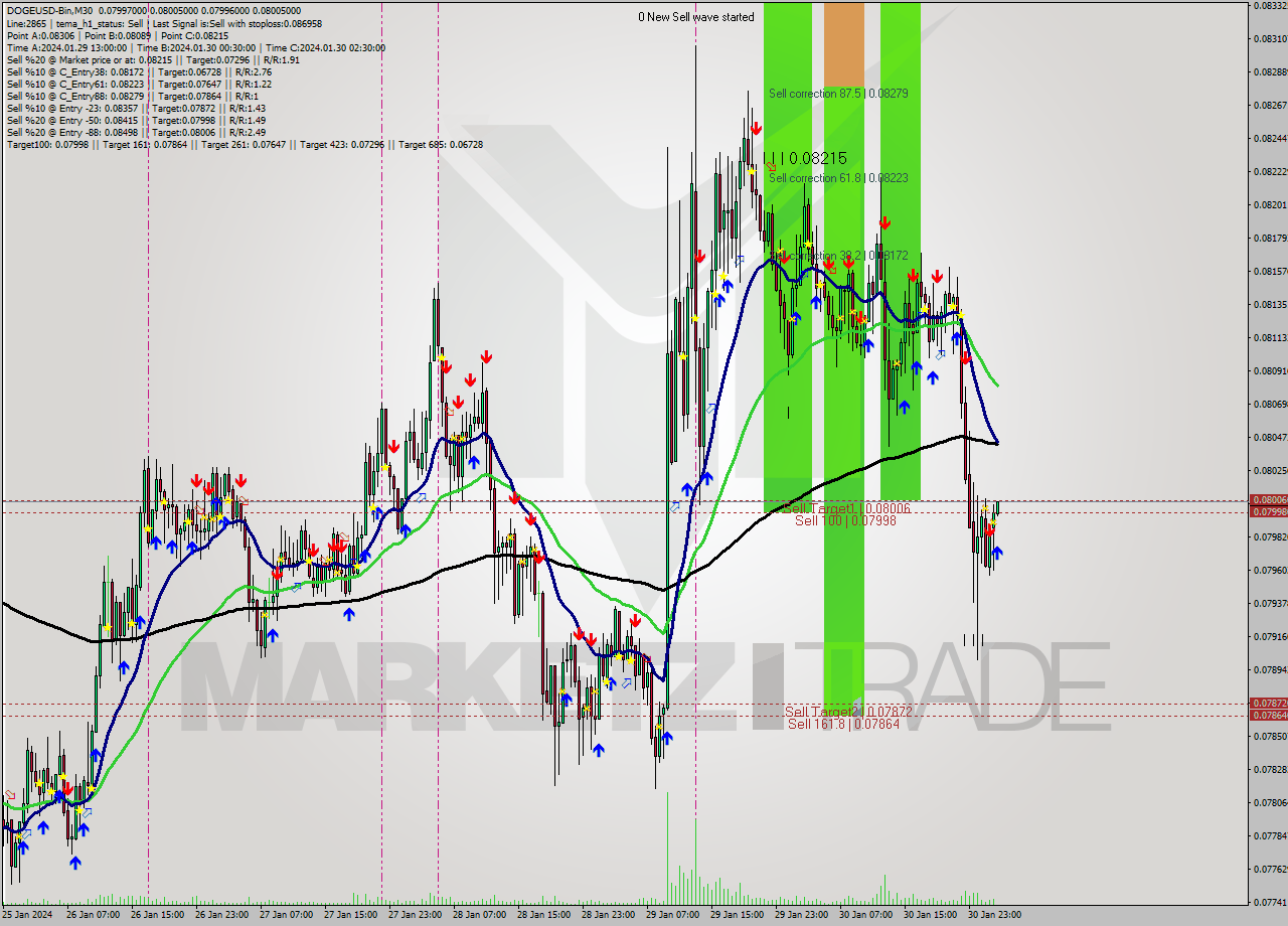 DOGEUSD-Bin M30 Signal