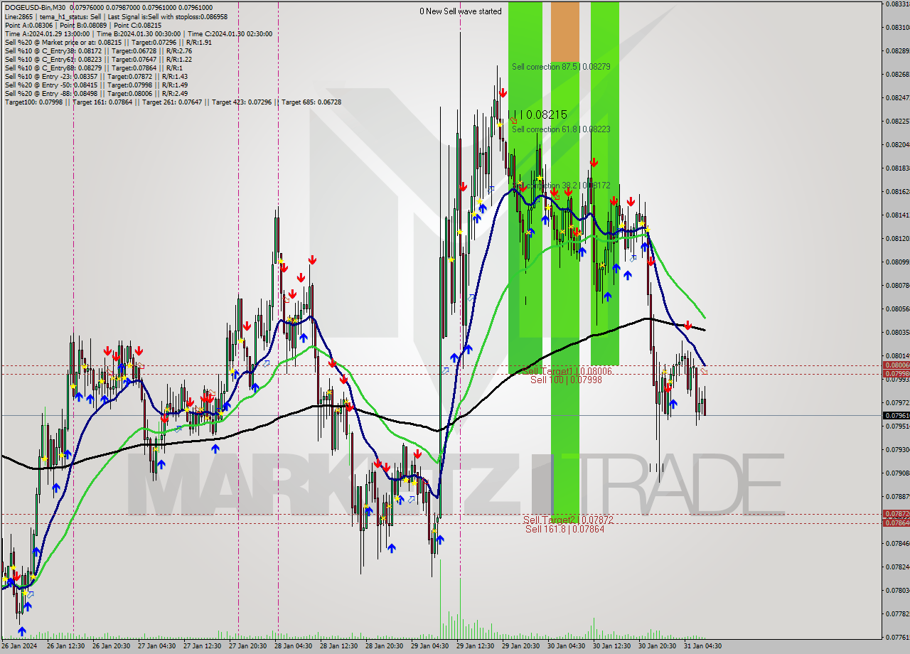 DOGEUSD-Bin M30 Signal
