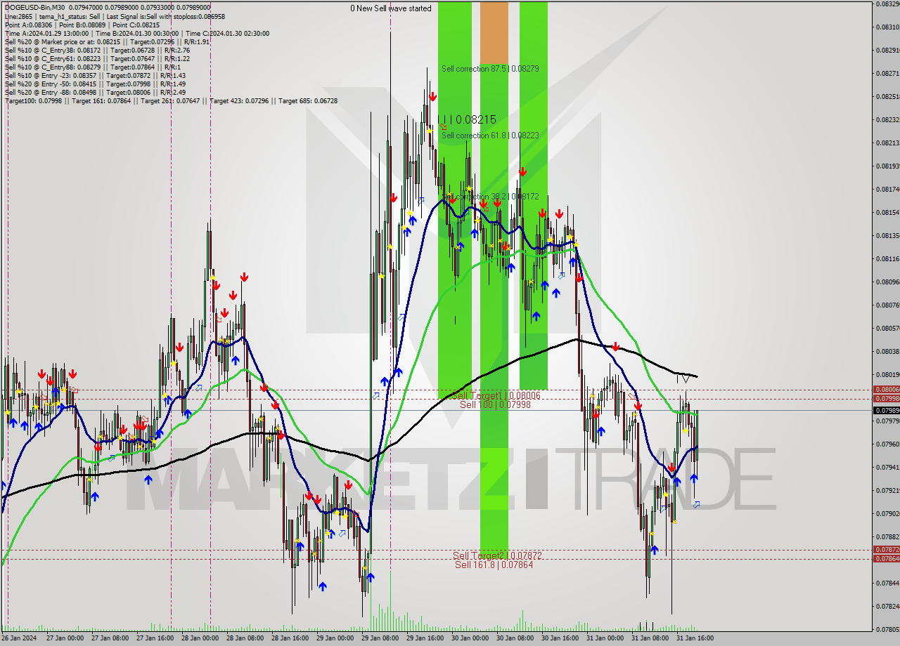 DOGEUSD-Bin M30 Signal