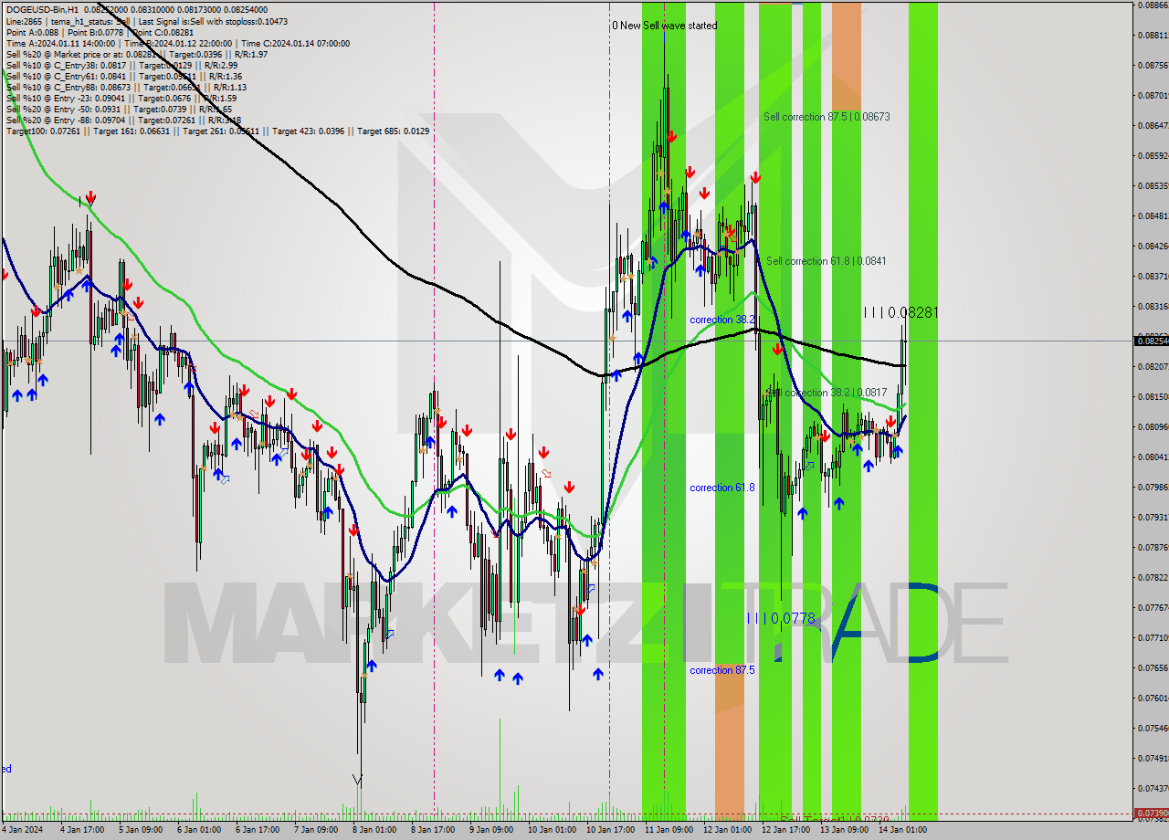 DOGEUSD-Bin H1 Signal