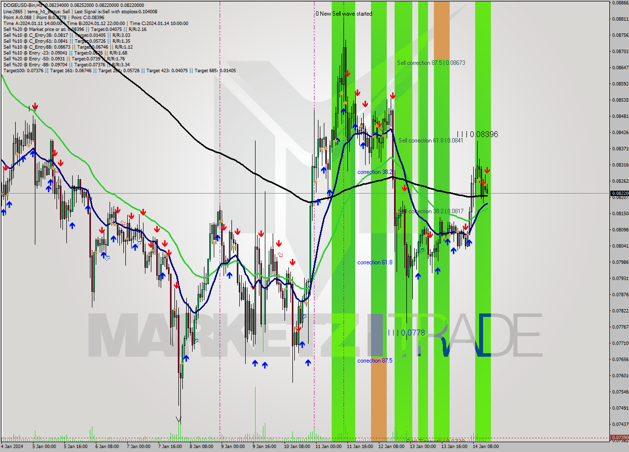 DOGEUSD-Bin H1 Signal