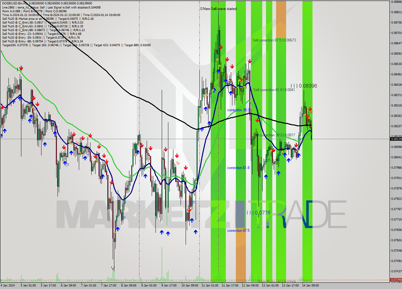 DOGEUSD-Bin H1 Analysis DOGEUSD-Bin H1 Signal