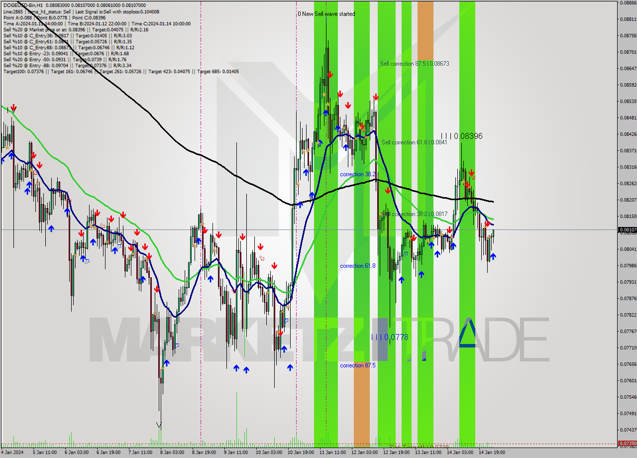 DOGEUSD-Bin H1 Signal