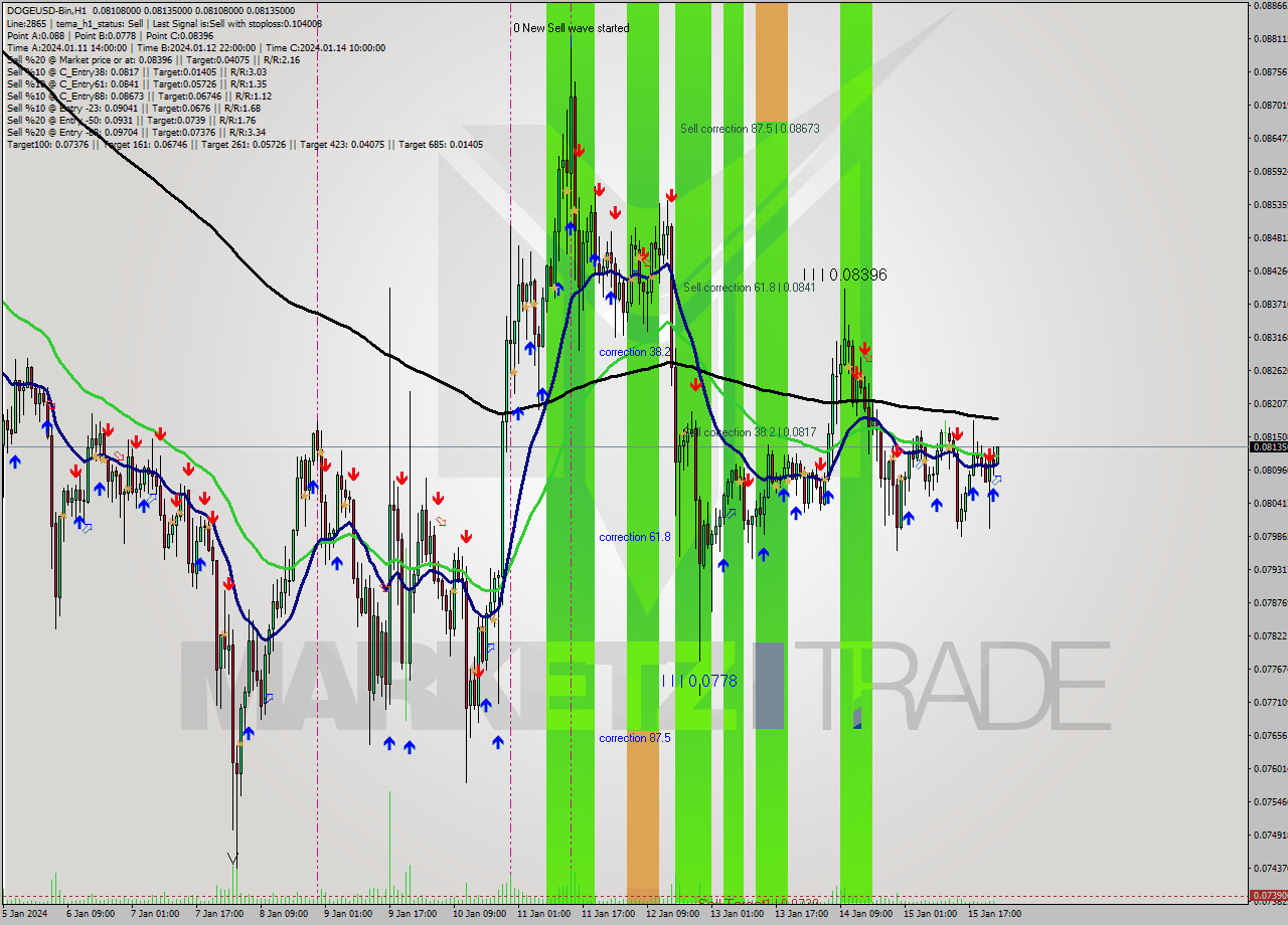 DOGEUSD-Bin H1 Signal