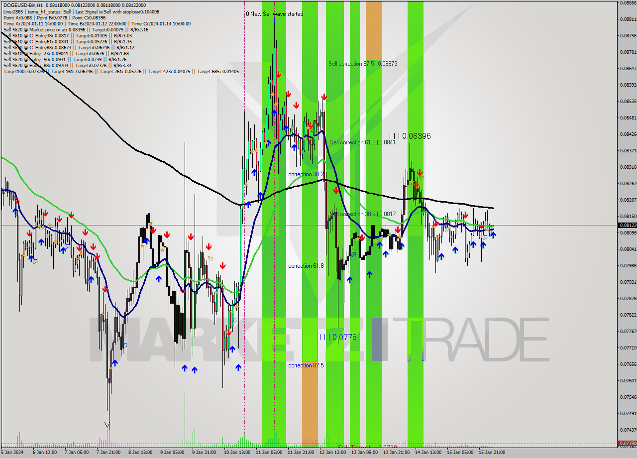 DOGEUSD-Bin H1 Signal