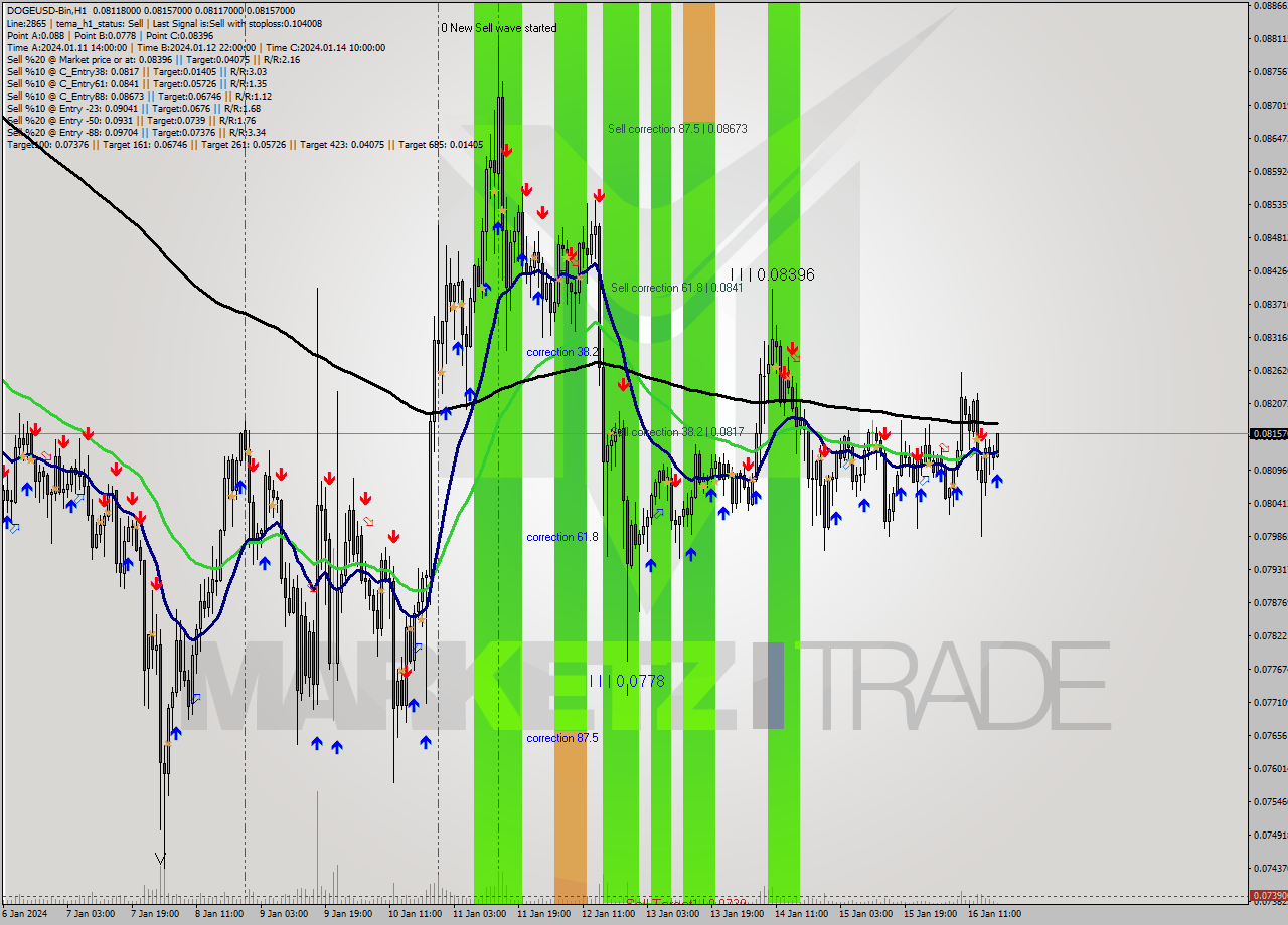 DOGEUSD-Bin H1 Signal
