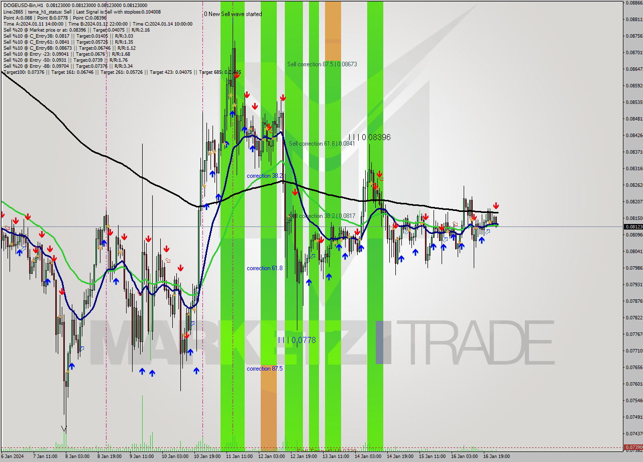 DOGEUSD-Bin H1 Signal