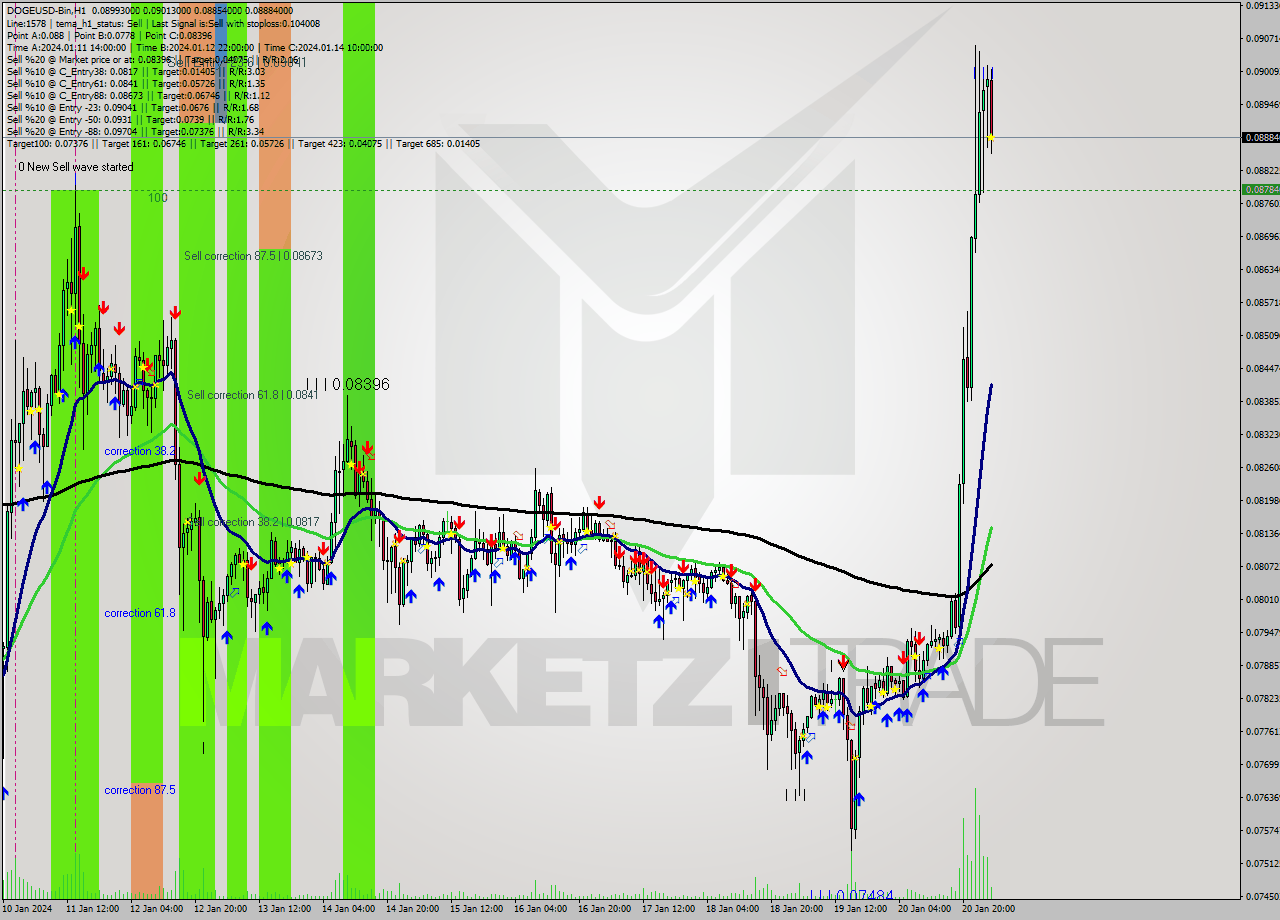 DOGEUSD-Bin H1 Signal