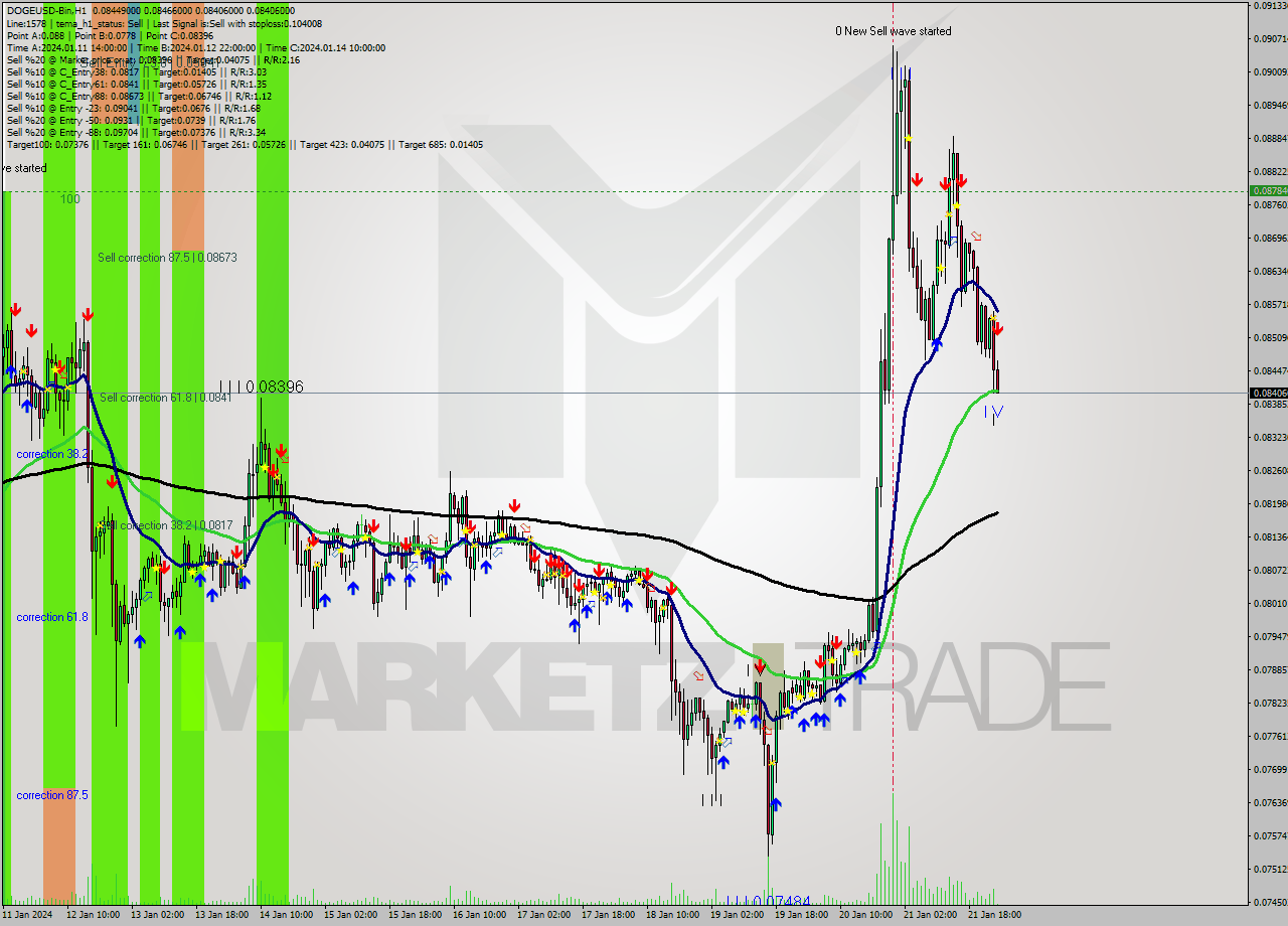 DOGEUSD-Bin H1 Analysis DOGEUSD-Bin H1 Signal