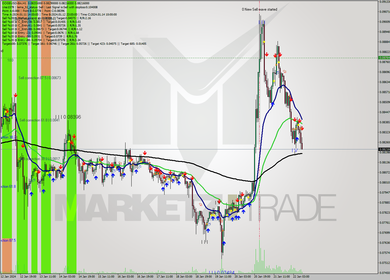 DOGEUSD-Bin H1 Analysis DOGEUSD-Bin H1 Signal