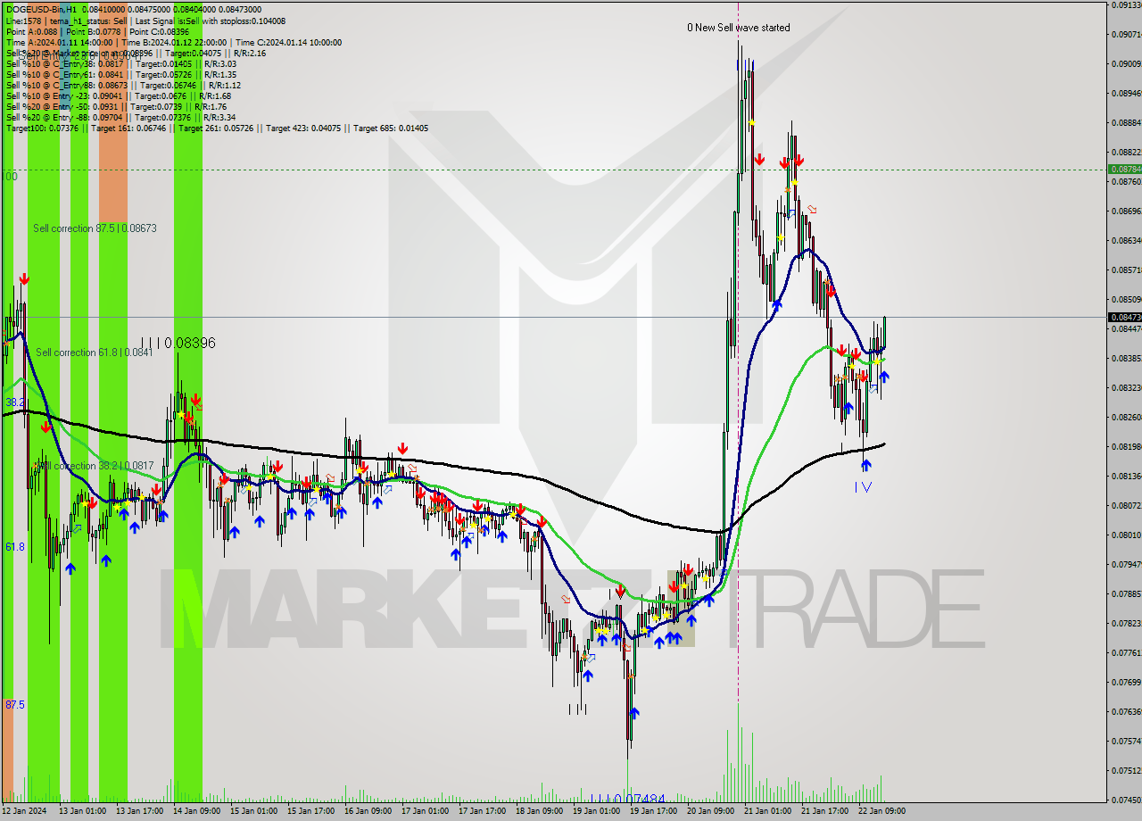 DOGEUSD-Bin H1 Analysis DOGEUSD-Bin H1 Signal