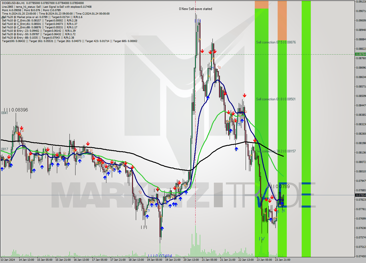 DOGEUSD-Bin H1 Signal