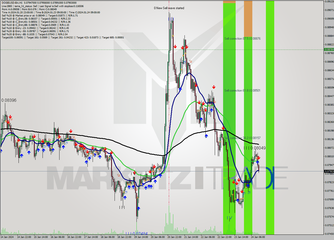 DOGEUSD-Bin H1 Signal