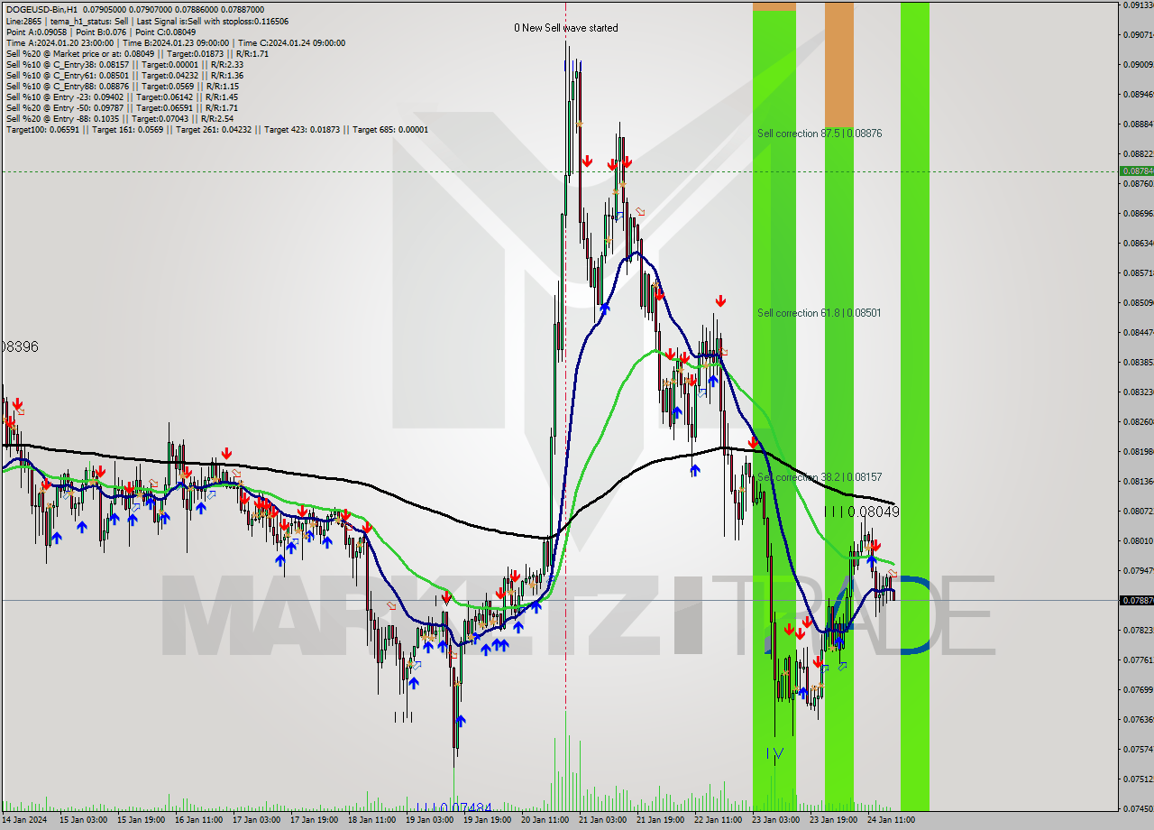 DOGEUSD-Bin H1 Signal