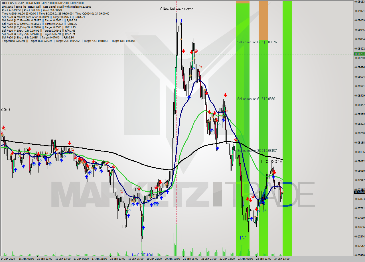 DOGEUSD-Bin H1 Signal