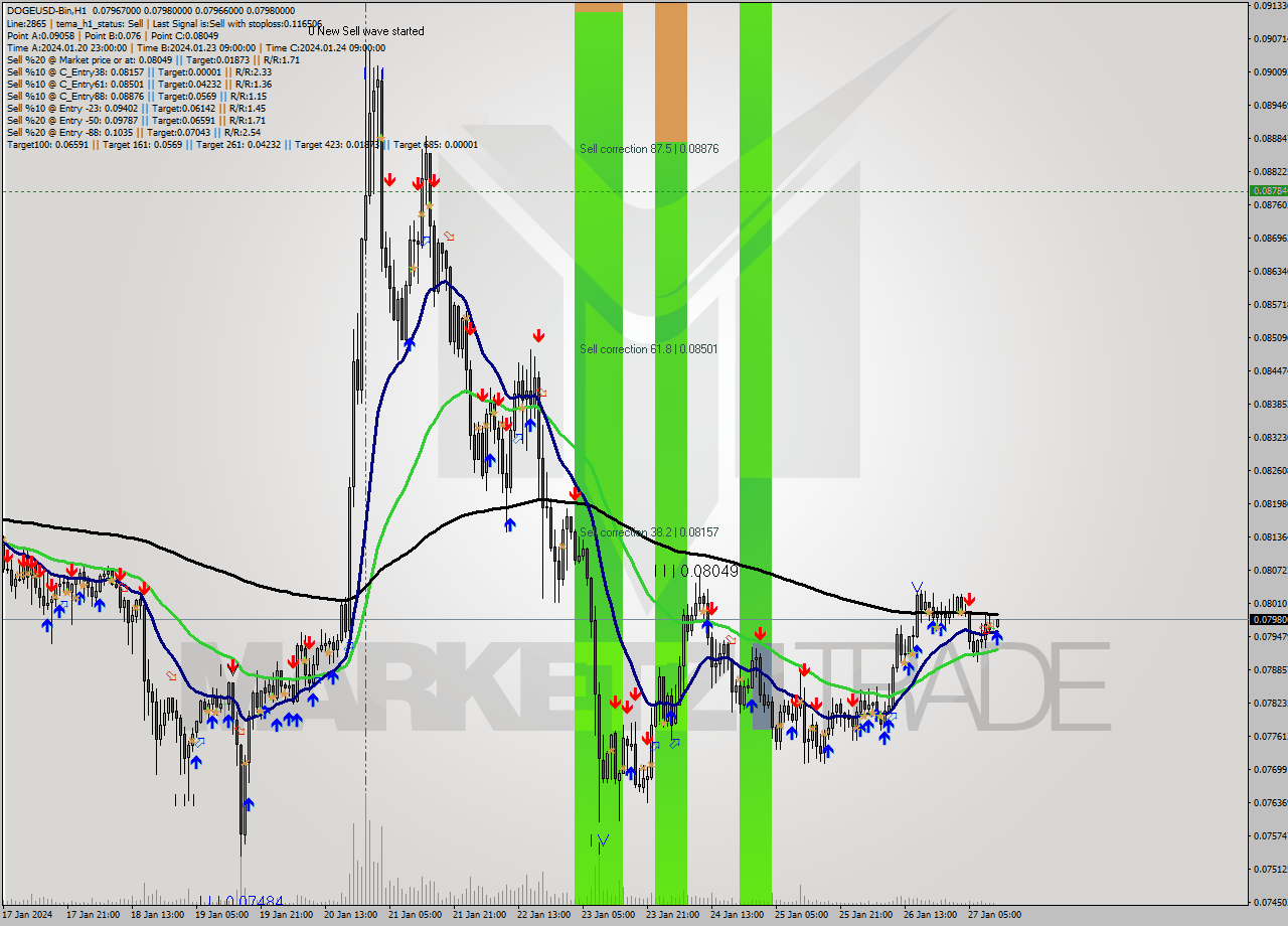 DOGEUSD-Bin H1 Signal