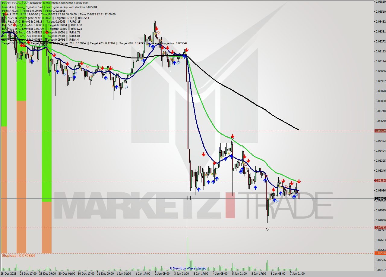 DOGEUSD-Bin H1 Signal