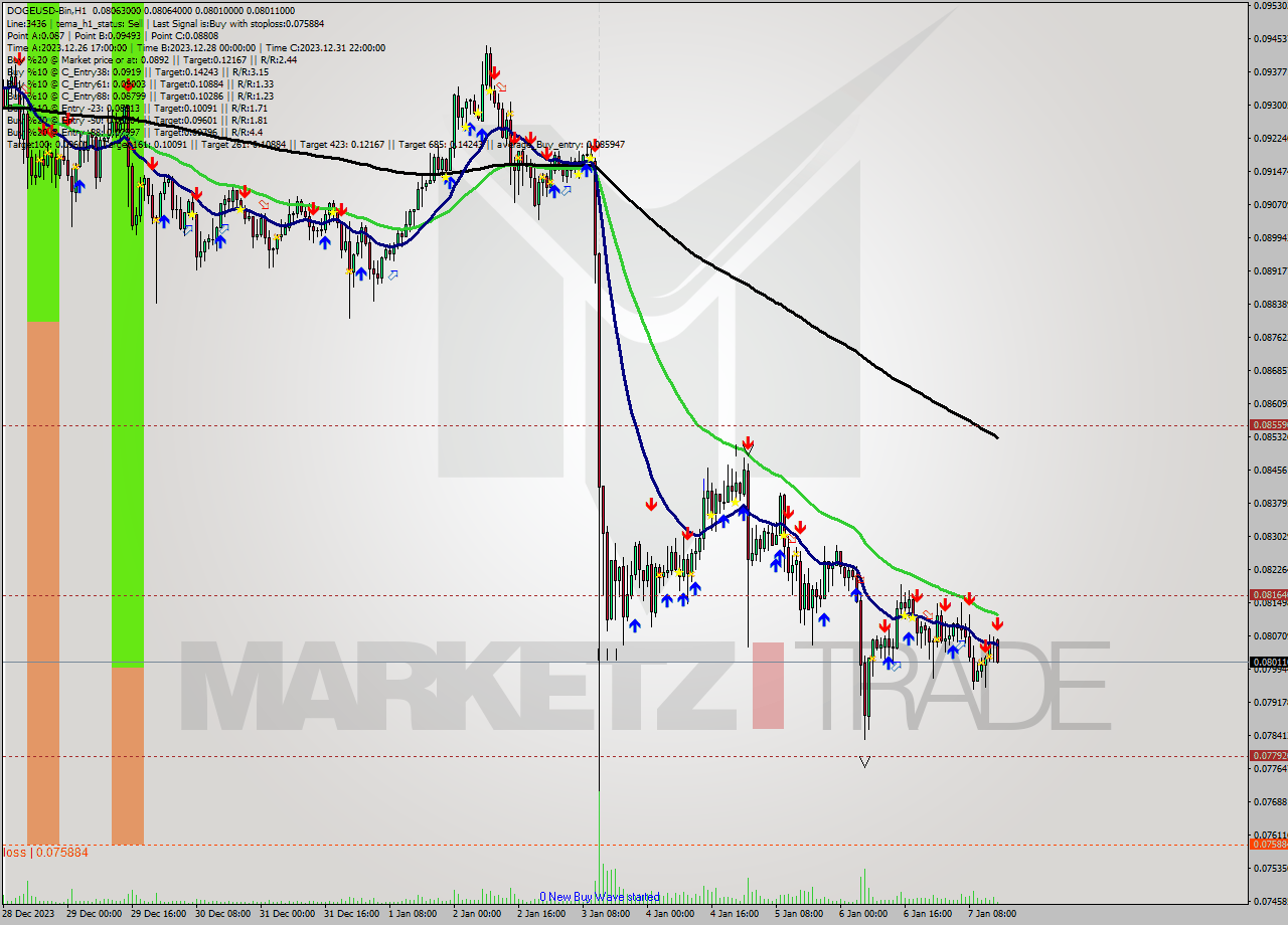 DOGEUSD-Bin H1 Signal