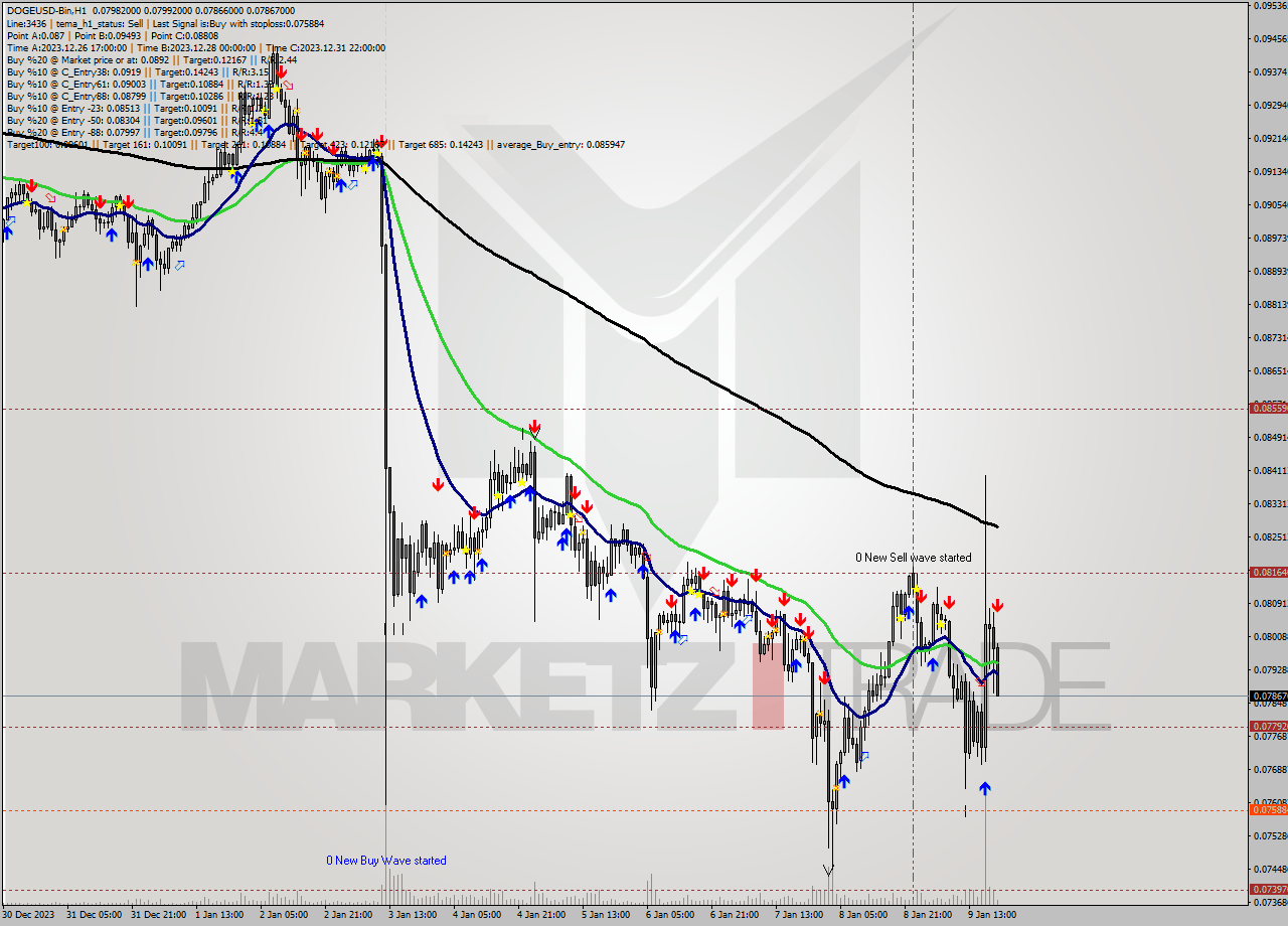 DOGEUSD-Bin H1 Signal